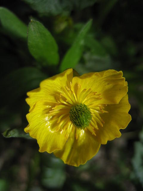 IMG_5722.jpg