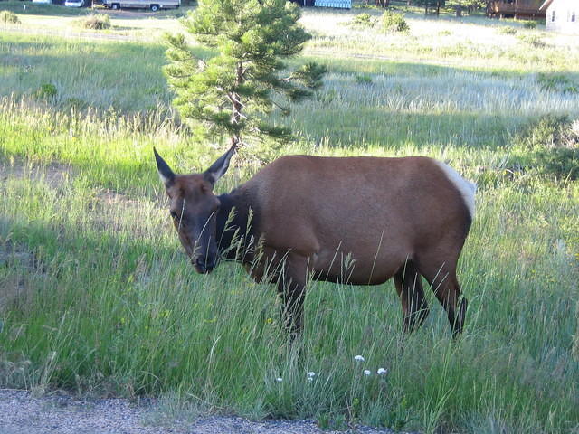IMG_5749.jpg