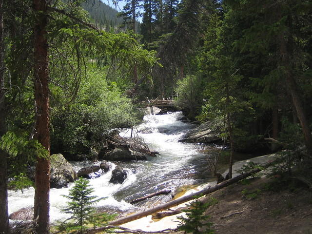 IMG_5781.jpg