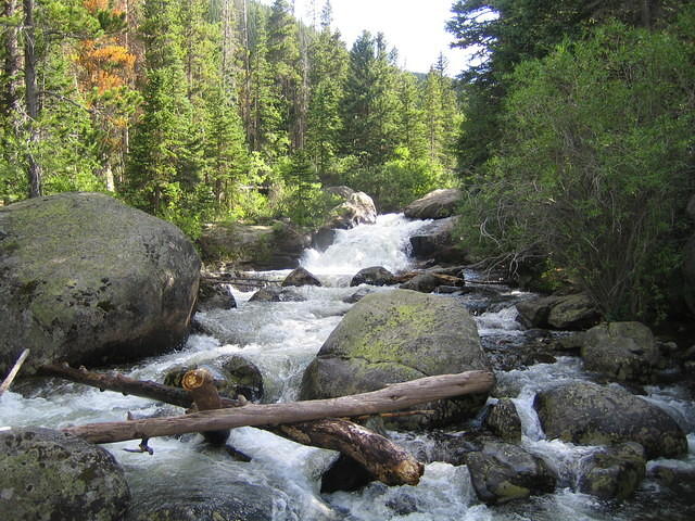 IMG_5792.jpg