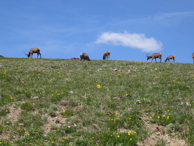 IMG_5821.jpg