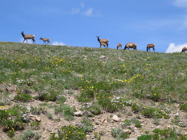 IMG_5822.jpg