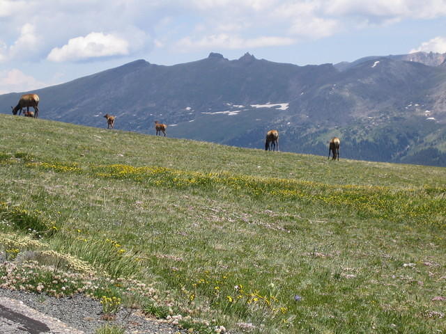 IMG_5828.jpg