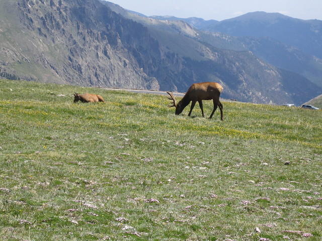 IMG_5829.jpg