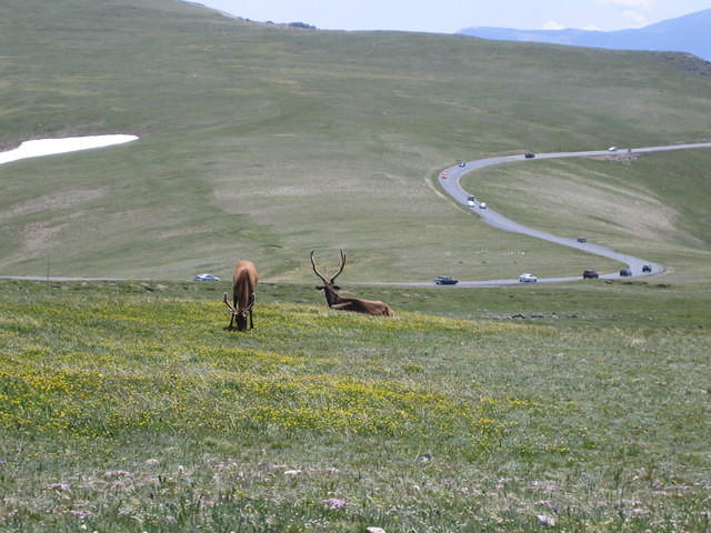 IMG_5830.jpg