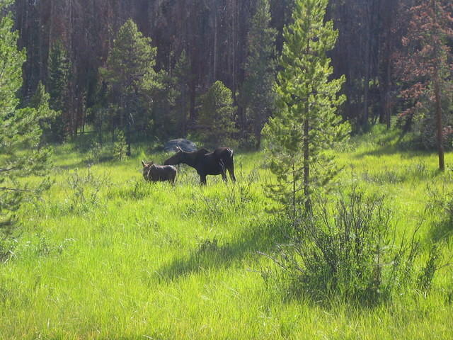 IMG_5844.jpg