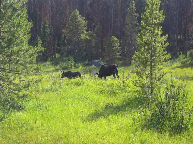 IMG_5845.jpg
