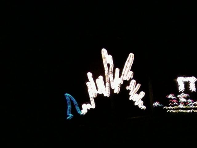 1230071755.jpg