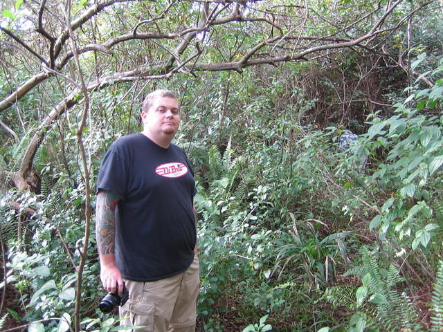 Beginning of the search for Kaumana Cave