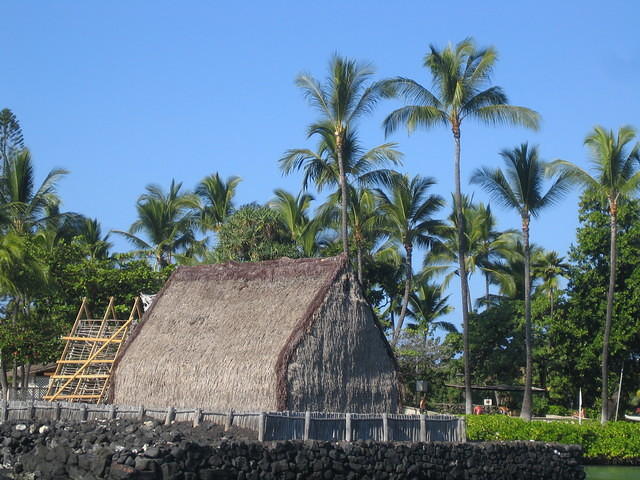 IMG_2499.jpg