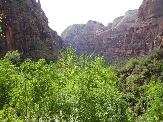IMG_1903.jpg