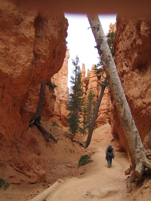 Navajo Canyon