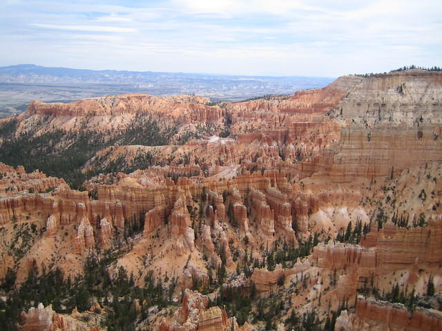 IMG_1947.jpg