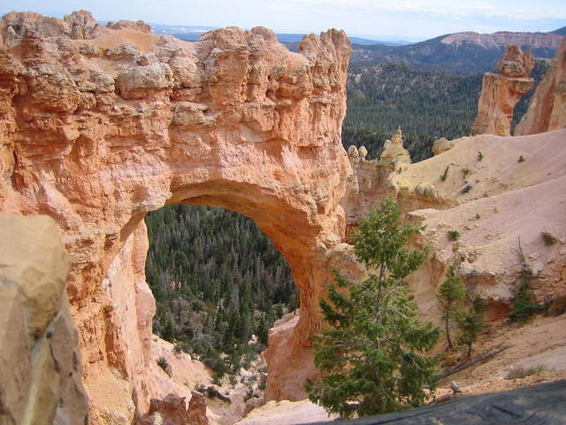 Natural Bridge at Bryce