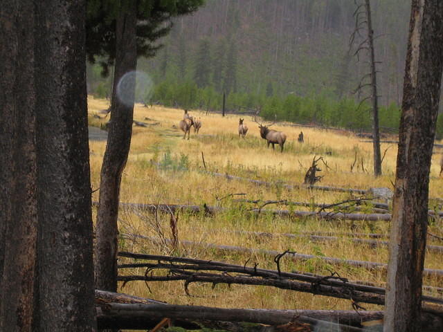 IMG_1972.jpg