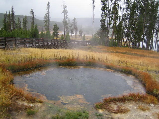 Hot Spring near Madison Junction