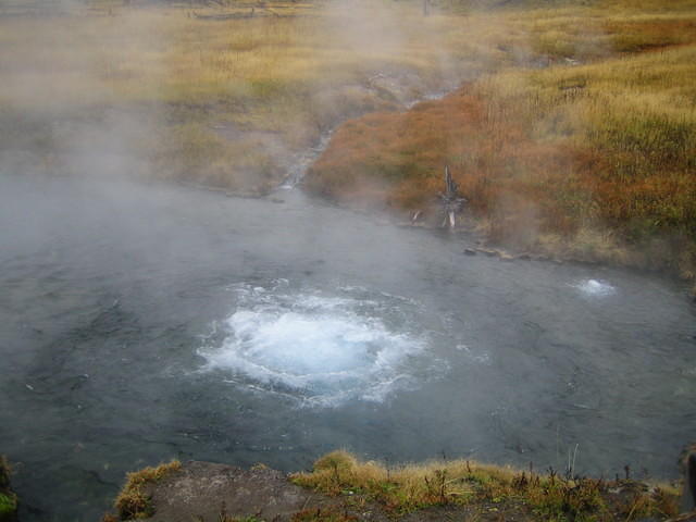 IMG_1980.jpg