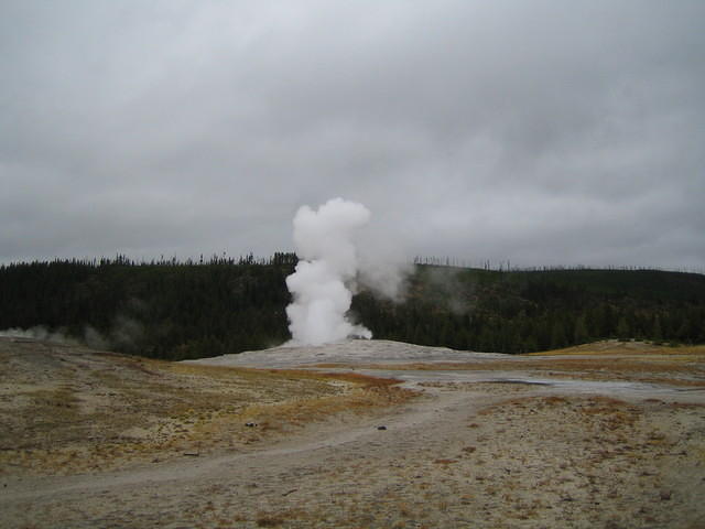 There she blows!