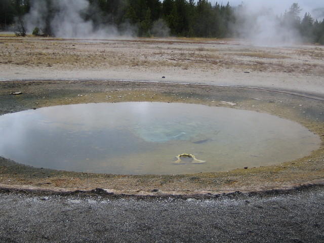 Bones in the Round Spring