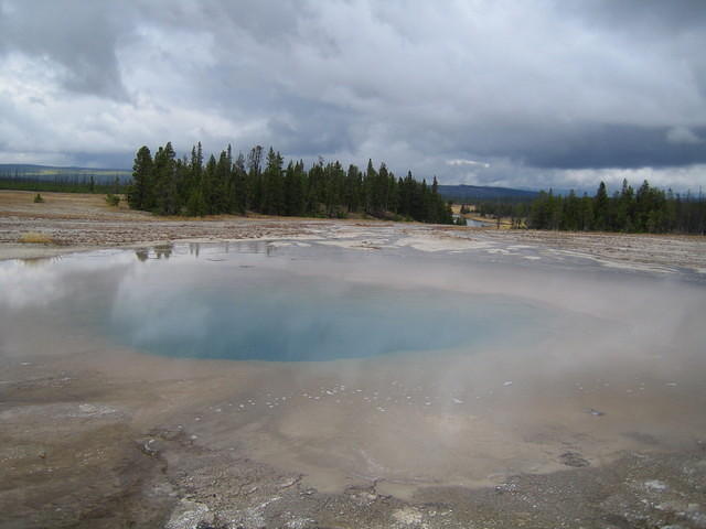 Turquoise Pool