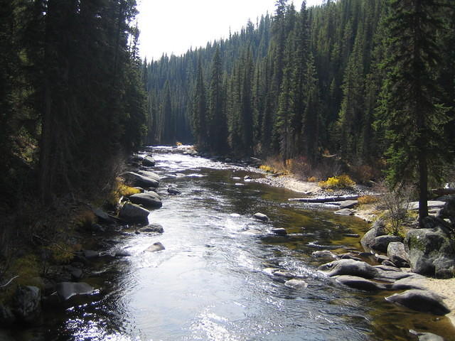 IMG_2069.jpg