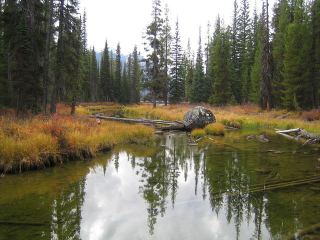 IMG_2070.jpg