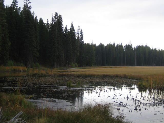 IMG_2080.jpg