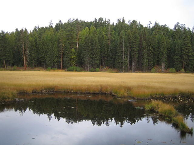 IMG_2083.jpg