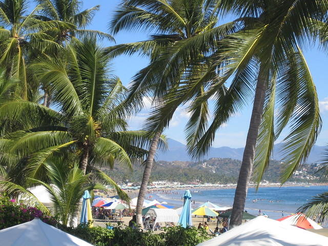 IMG_5164.jpg