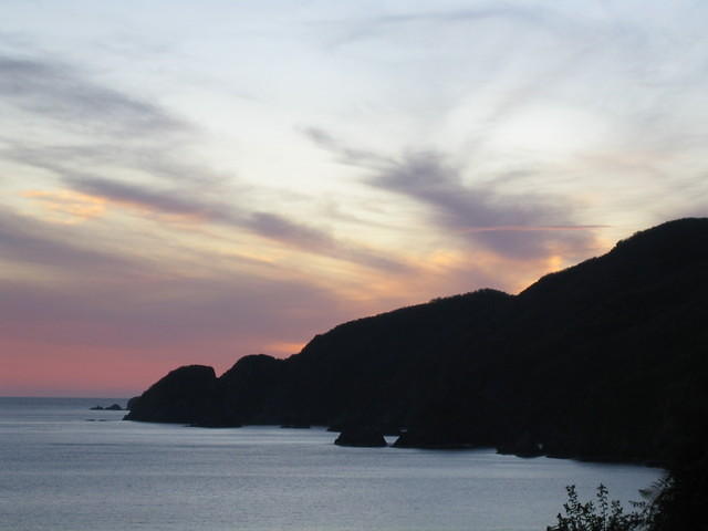 IMG_5177.jpg