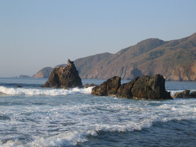 IMG_5247.jpg