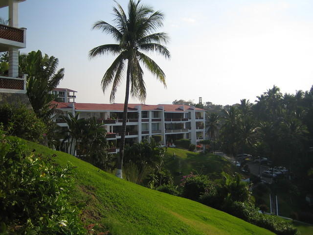 IMG_5264.jpg