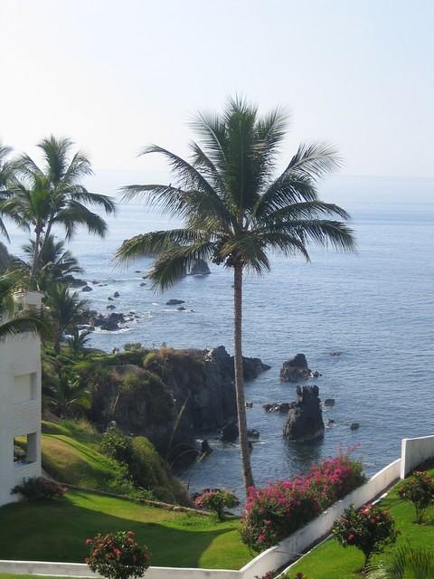 View from the patio