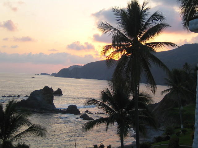 IMG_5351.jpg