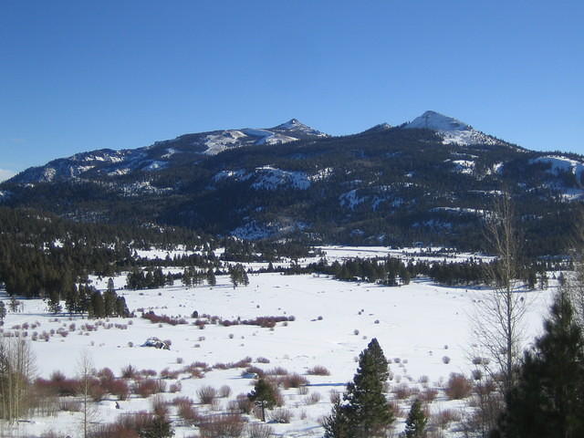 IMG_6848.jpg