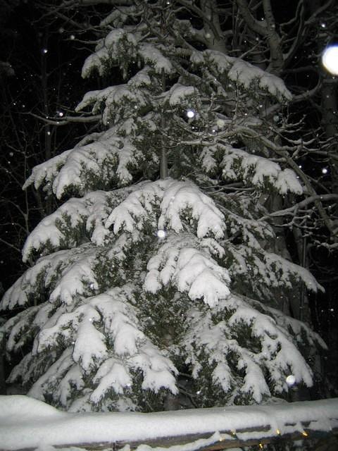 IMG_6945.jpg
