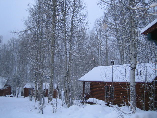 IMG_6946.jpg