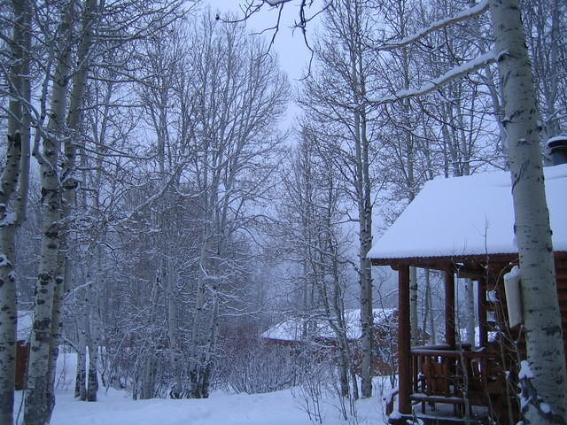IMG_6949.jpg