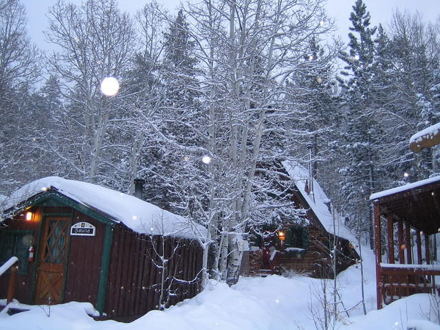 IMG_6952.jpg