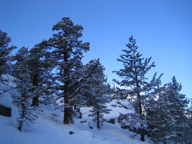 IMG_6968.jpg