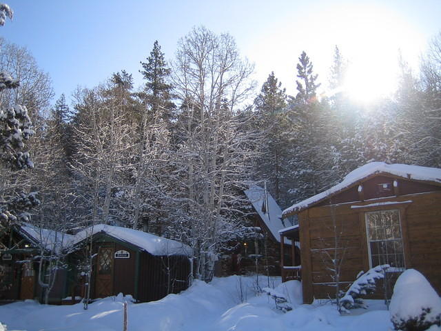 IMG_6974.jpg