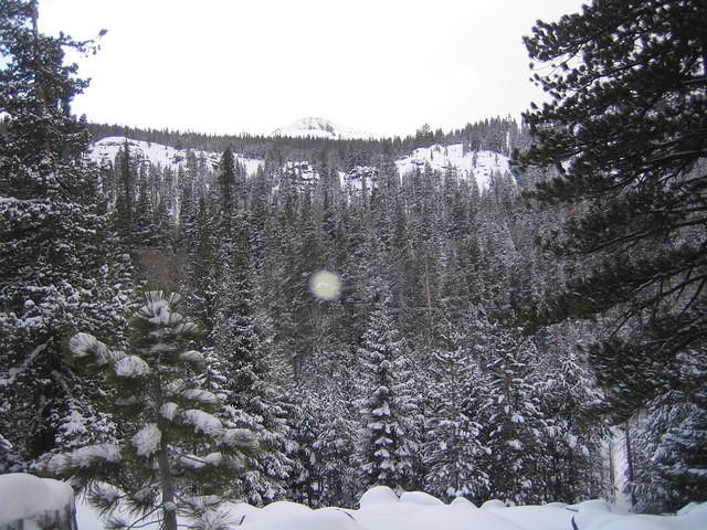 IMG_6998.jpg