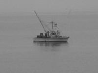 IMG_7928.JPG