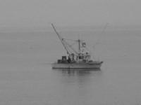 IMG_7929.JPG