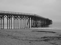 IMG_7934.JPG