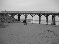 IMG_7935.JPG