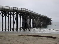 IMG_7936.JPG