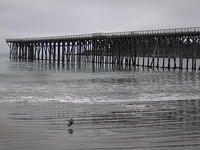 IMG_7938.JPG