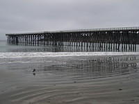 IMG_7939.JPG