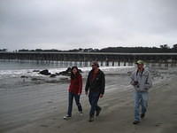 IMG_7940.JPG